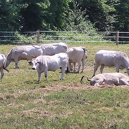Agriturismo La Fornace Centro Ippico Como Exteriér fotografie