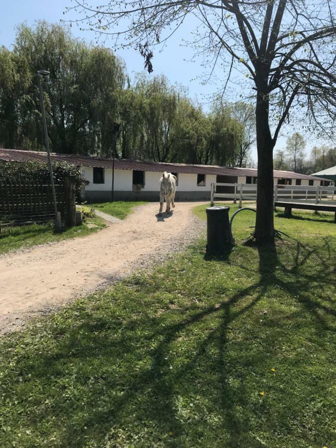 Vila Agriturismo La Fornace Centro Ippico Como Exteriér fotografie